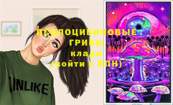 стаф Ладушкин