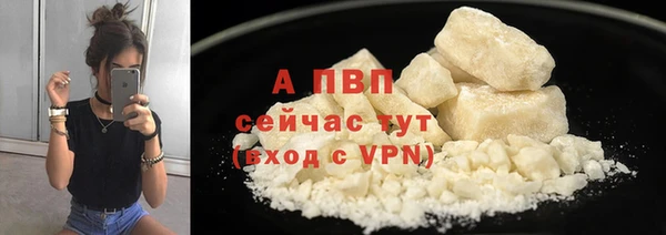 стаф Ладушкин