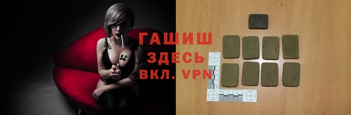 стаф Ладушкин