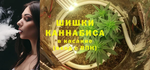 стаф Ладушкин