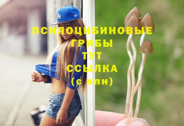 метадон Лабытнанги