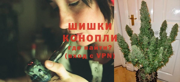 стаф Ладушкин