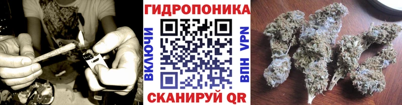 Канабис индика  Купить закладки  Семёнов 